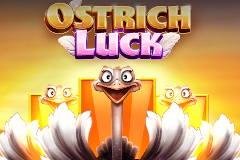 Ostrich Luck