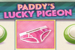 Paddy's Lucky Pigeon