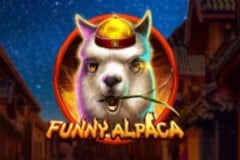 Funny Alpaca