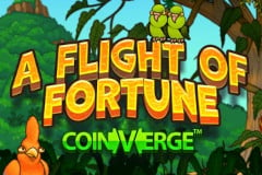 A Flight of Fortune