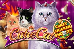 Cutie Cat Crazy Chicken Shooter