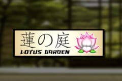 Lotus Garden