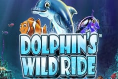 Dolphin's Wild Ride