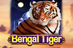 Bengal Tiger