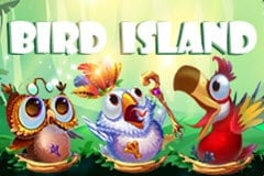 Bird Island