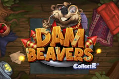 Dam Beavers