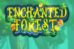 Enchanted Forest