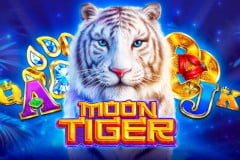 Moon Tiger