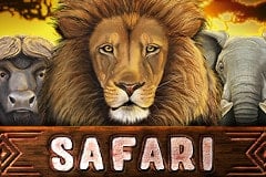 Safari