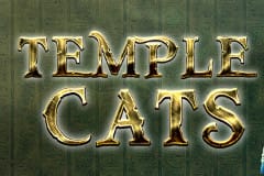 Temple Cats