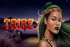 Tribe