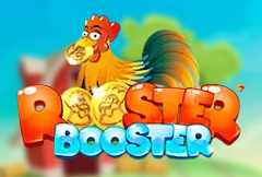 Rooster Booster