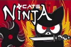 Ninja Cats