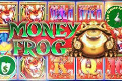 Money Frog