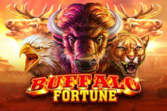 Buffalo Fortune