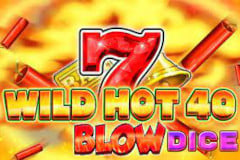 Wild Hot 40 Blow Dice