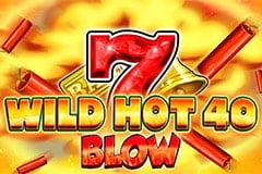 Wild Hot 40 Blow