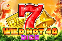 Wild Hot 40 Dice