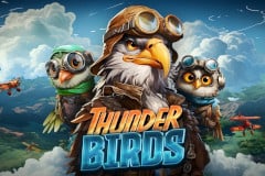 Thunder Birds