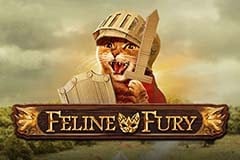 Feline Fury