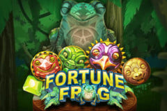 Fortune Frog