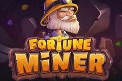 Fortune Miner