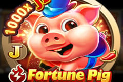 Fortune Pig