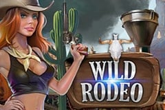 Wild Rodeo