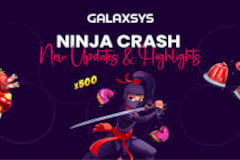 Ninja Crash