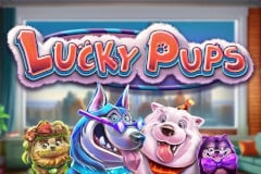 Lucky Pups