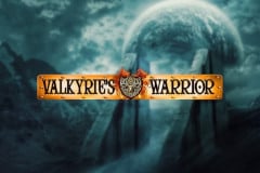 Valkyries Warrior