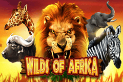 wild africa slot machine