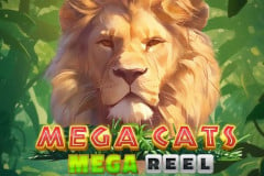 Mega Cats Mega Reel