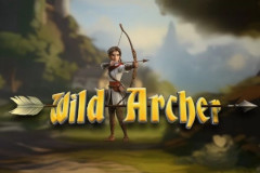 Wild Archer