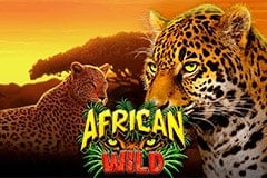 African Wild