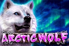 Arctic Wolf