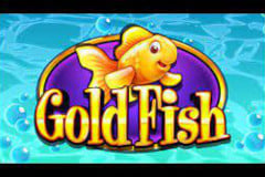 Gold Fish