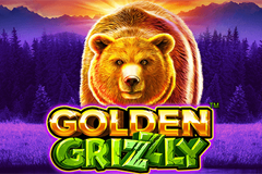 Golden Grizzly