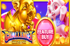 Golden Pig Feature Buy