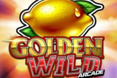 Golden Wild Arcade