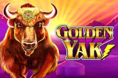 Golden Yak