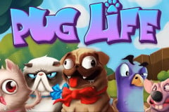 Pug Life