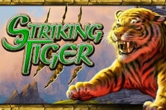 Striking Tiger