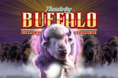 Thundering Buffalo: Golden Stampede