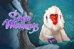 Snow Monkeys