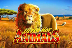 Ultra Hot Animals