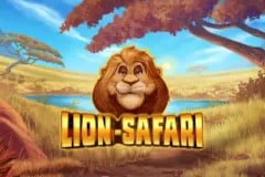 Lion Safari