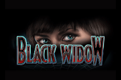 Free online black widow slots online