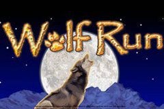 wolf run video slots free