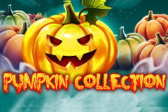 Pumpkin Collection